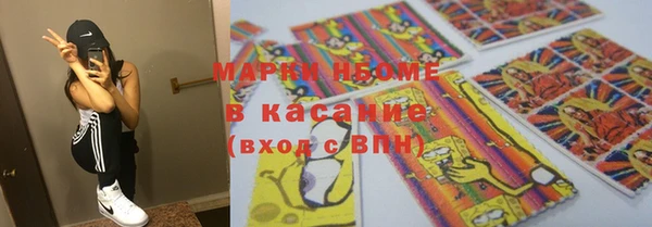 прущие грибы Касимов