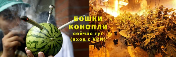 трава Алзамай