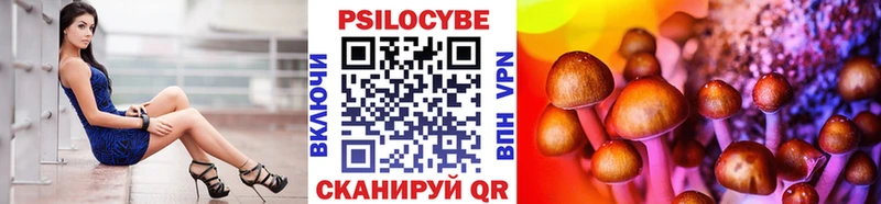 Псилоцибиновые грибы GOLDEN TEACHER  Махачкала 